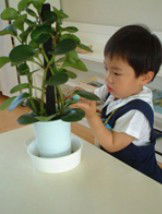 Australian Montessori Society - Adelaide Schools 3