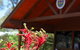St Paul's Grammar School - thumb 10