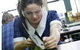 All Saints Grammar School - thumb 3