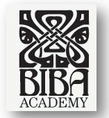 Biba Institution - Adelaide Schools 0