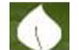 SA COLLEGE OF NATURAL AND TRADITIONAL MEDICINE PTY LTD - thumb 0