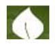 SA COLLEGE OF NATURAL AND TRADITIONAL MEDICINE PTY LTD - Adelaide Schools 0