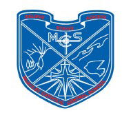 Mcauley Catholic Central School - Adelaide Schools 0