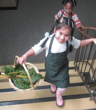 Ascot Vale Special School - Adelaide Schools 3