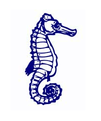 Albert Park Primary School - Adelaide Schools 0