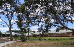 Koongamia WA Adelaide Schools