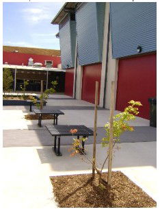 Wellington Secondary College - Adelaide Schools 1