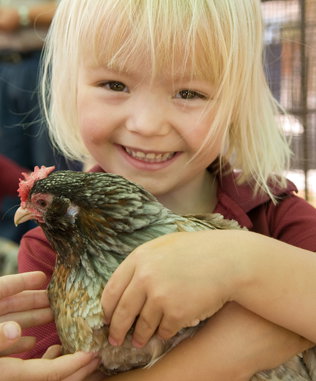 Genesis Christian College - Adelaide Schools 1