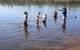 Gidgegannup Primary School - thumb 3