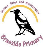 Braeside Primary School - Adelaide Schools 0