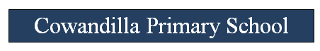 Cowandilla Primary School - Adelaide Schools
