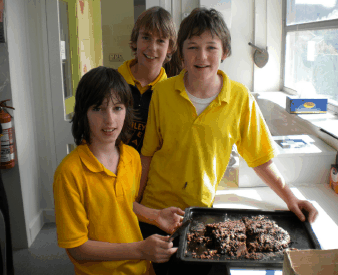 Henley Beach Primary School - Adelaide Schools 3