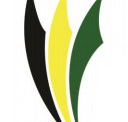 Ascot Park R-7 Specialist Physical Education and Sport School - Adelaide Schools