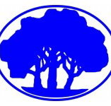 Mitcham Primary School - Adelaide Schools