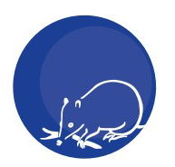 Mylor Primary School - Adelaide Schools