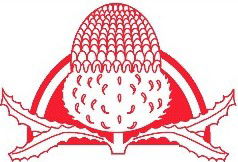 Waddington Primary School - Adelaide Schools 0