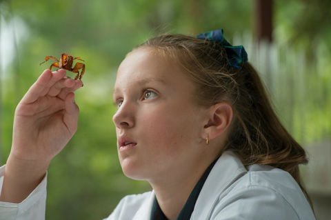 Seymour College - Adelaide Schools 5