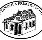 Tantanoola Primary School - Adelaide Schools