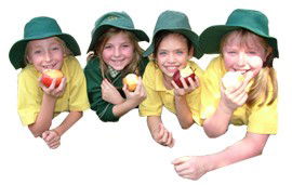 Holy Family Primary School Mt Waverley - Adelaide Schools 1