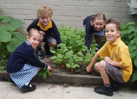St Raphael's Catholic Primary School - Adelaide Schools 1