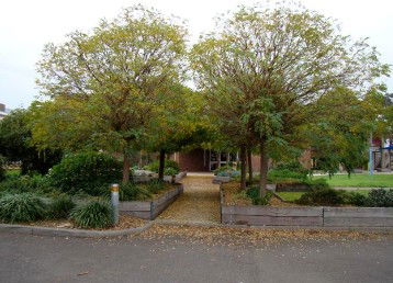 Coburg North Primary School - Adelaide Schools 1