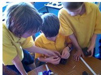 Pender's Grove Primary School - Adelaide Schools 1