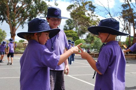 Caulfield Primary School - Adelaide Schools 2