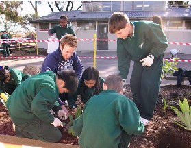 St Albans North Primary School - Adelaide Schools 2