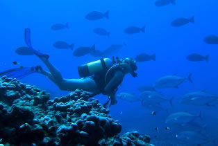 Aquatic Adventures Courses - Adelaide Schools 0