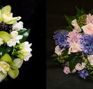 The Flower School Pty Ltd - Adelaide Schools