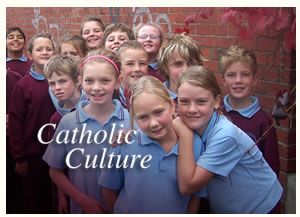 St Alipius Parish Primary School - Adelaide Schools 0