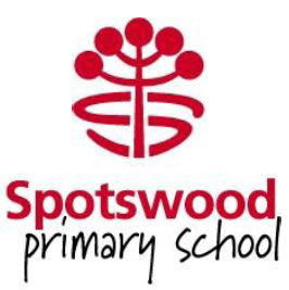 Spotswood Primary School - Adelaide Schools 0