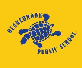 Blakebrook Public School - Adelaide Schools 0