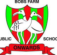Bobs Farm Public School - Adelaide Schools