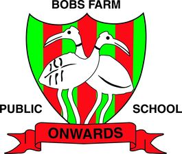 Bobs Farm Public School - Adelaide Schools 0