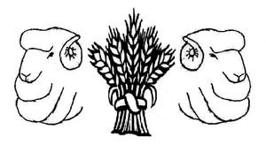 Bogan Gate NSW Adelaide Schools