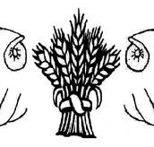 Bogan Gate Public School - Adelaide Schools