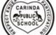 Carinda Public School - thumb 0