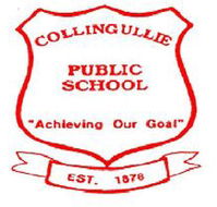 Collingullie Public School - Adelaide Schools