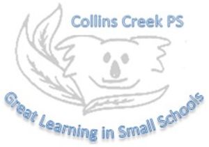 Collins Creek Public School - Adelaide Schools 0