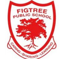 Figtree Public School - Adelaide Schools