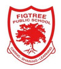 Figtree Public School - Adelaide Schools 0