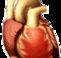 Lynex Health Care  Training Services - Adelaide Schools
