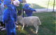 Heathridge Primary School - thumb 1