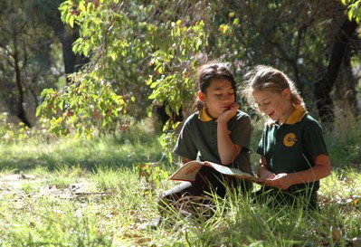 Hilton Primary School - Adelaide Schools 1