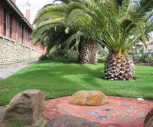 Palmyra Dc WA Adelaide Schools