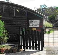 Treetops Montessori Primary School - Adelaide Schools