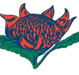 Hurstville South Public School - Adelaide Schools