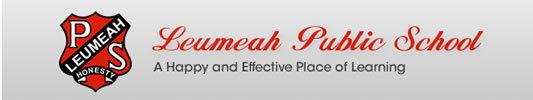Leumeah NSW Adelaide Schools