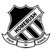 Homebush Public School - Adelaide Schools 0